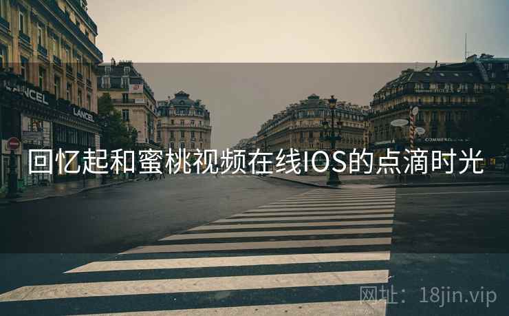 回忆起和蜜桃视频在线IOS的点滴时光  第2张