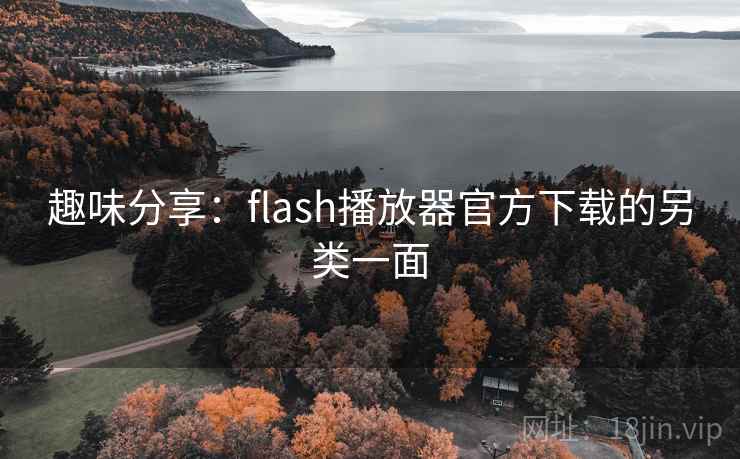趣味分享:flash播放器官方下载的另类一面