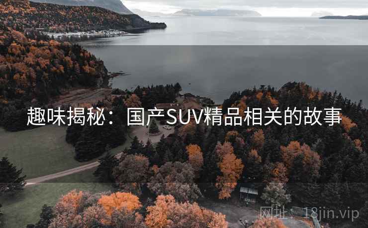 趣味揭秘:国产SUV精品相关的故事